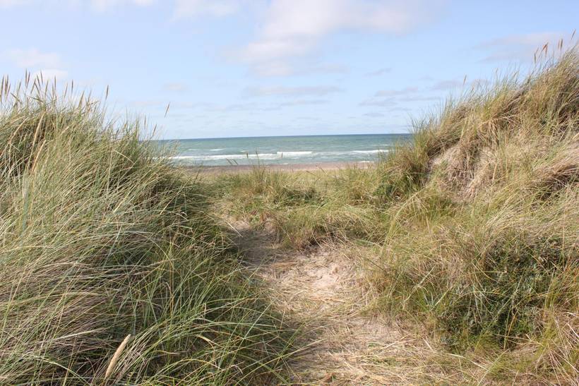 Foto von Ferienhaus SL70 in Tranum - Slettestrand - Nordjütland