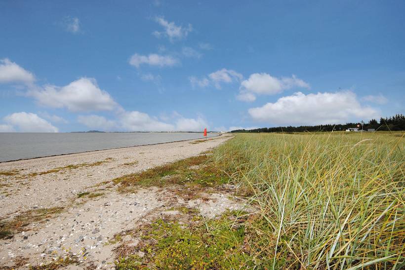Foto von Ferienhaus SM11 in Trend - Thy/Limfjord