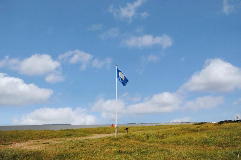 Foto von Ferienhaus SM11 in Trend - Thy/Limfjord