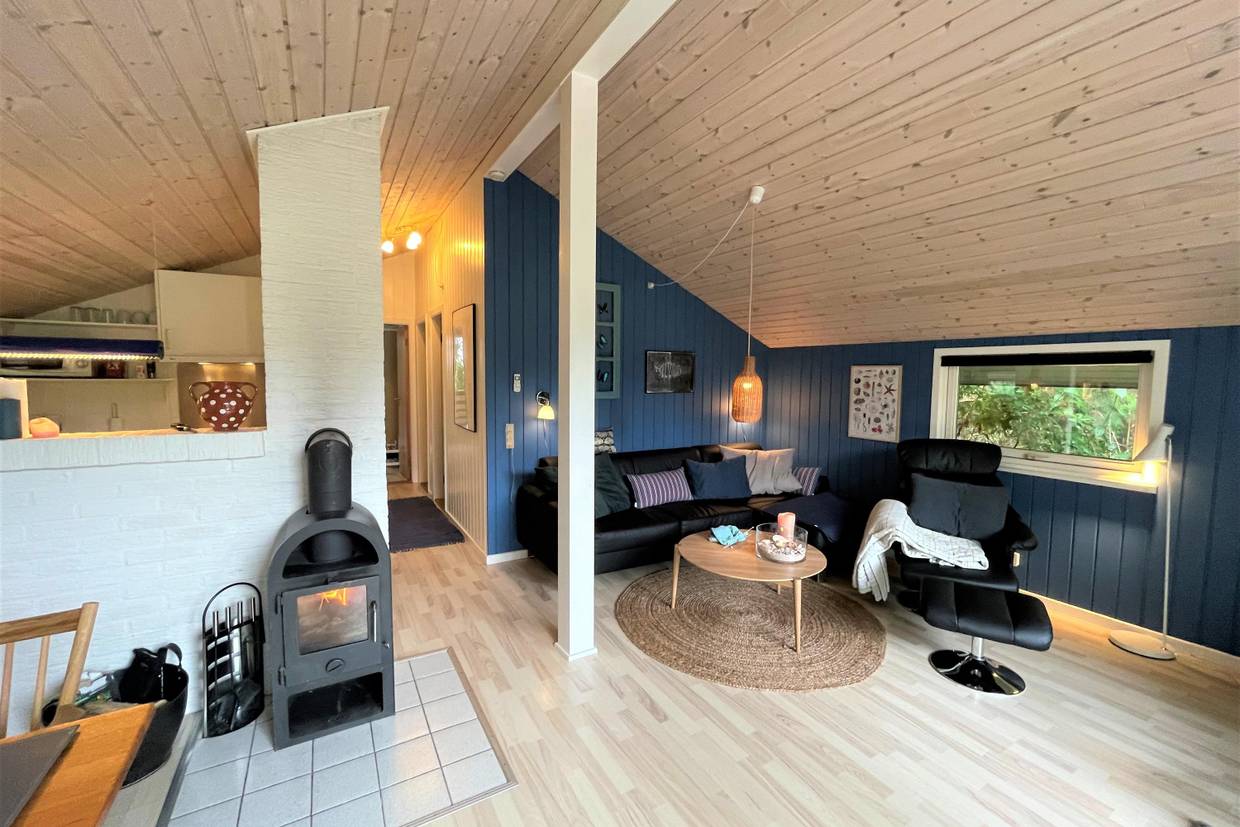 Foto von Ferienhaus SM33 in Bjerregård - Westjütland