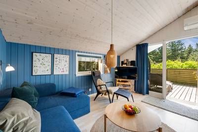 Vorschaubild von Ferienhaus SM33 in Bjerregård - Westjütland
