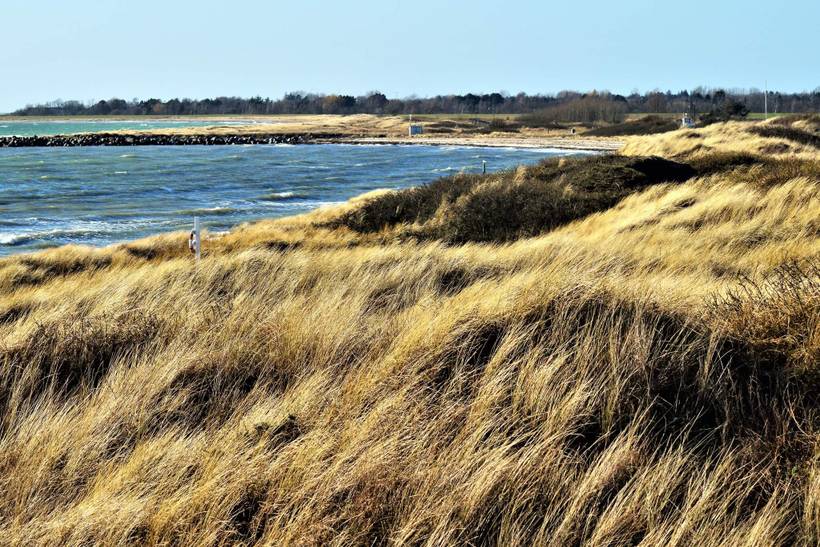 Foto von Ferienhaus SM57 in Kramnitse - Lolland