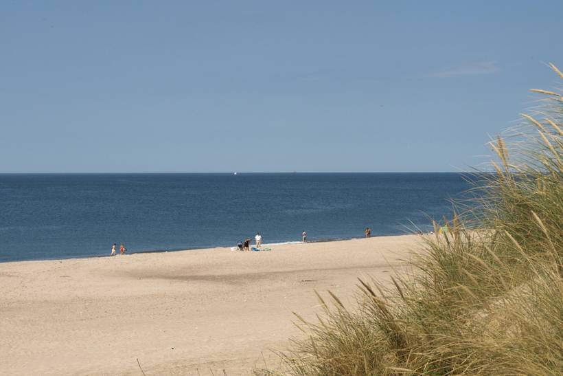 Foto von Ferienhaus SN12 in Vejlby Klit - Westjütland