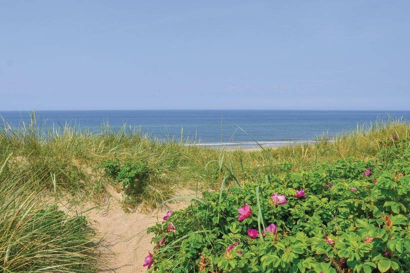 Foto von Ferienhaus SN36 in Klegod - Westjütland