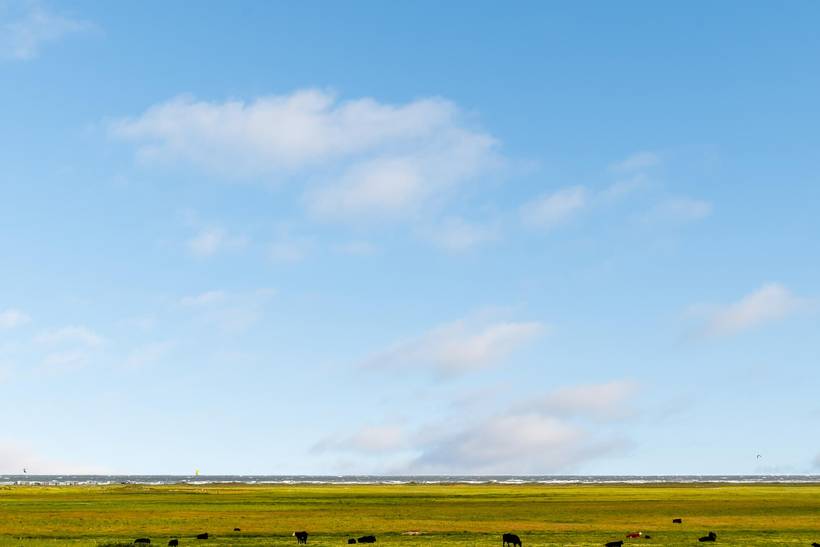 Foto von Ferienhaus SN88 in Lakolk - Rømø