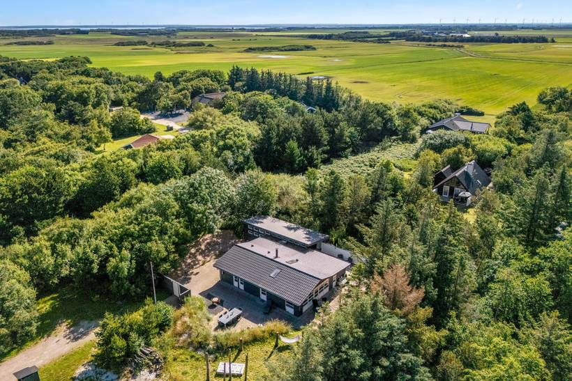 Foto von Ferienhaus SO59 in Lodbjerg Hede - Søndervig - Westjütland