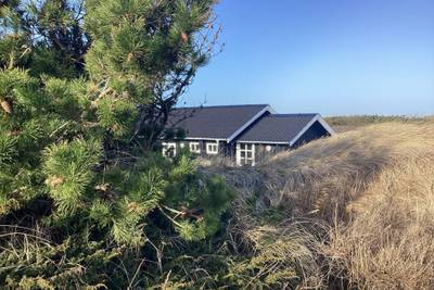 Vorschaubild von Ferienhaus SO67 in Tranum - Slettestrand - Nordjütland
