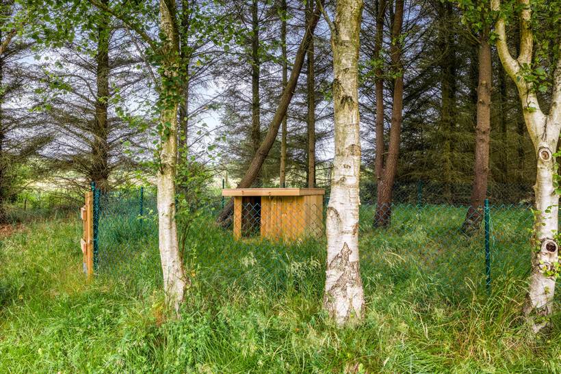 Foto von Ferienhaus SP12 in Nymindegab - Houstrup - Westjütland