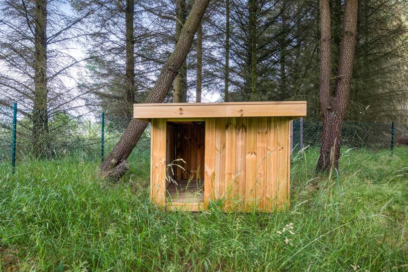 Foto von Ferienhaus SP12 in Nymindegab - Houstrup - Westjütland