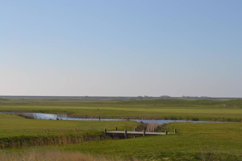 Foto von Ferienhaus SP53 in Havneby - Rømø