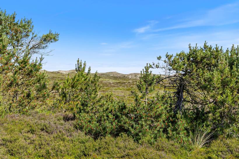 Foto von Ferienhaus SQ56 in Bjerregård - Westjütland