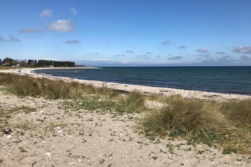 Foto von Ferienhaus SQ68 in Klint - Westseeland