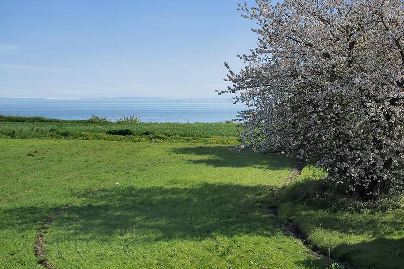 Foto von Ferienhaus SQ76 auf Nr. Kettingskov - Als