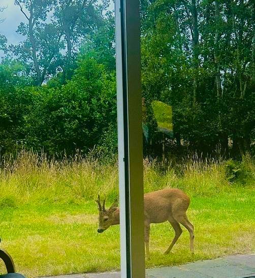 Foto von Ferienhaus SR00 in Rindby - Fanø