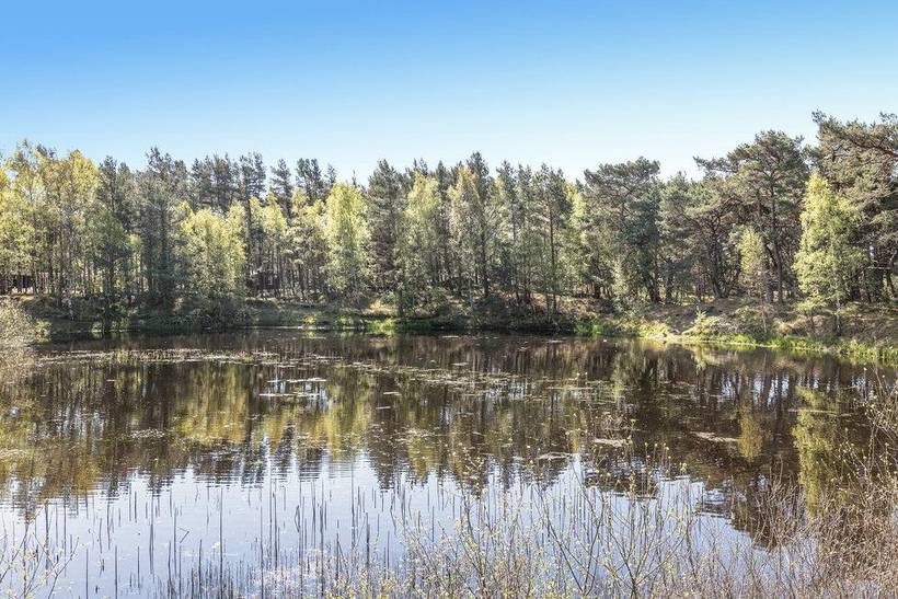 Foto von Ferienhaus SR08 in Dueodde - Bornholm
