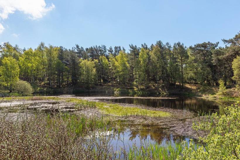 Foto von Ferienhaus SR08 in Dueodde - Bornholm
