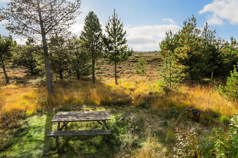 Foto von Ferienhaus SR26 in Kongsmark - Rømø