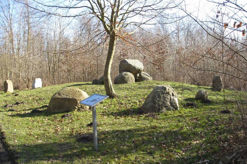 Foto von Ferienhaus SR35 auf Bøged - Südseeland