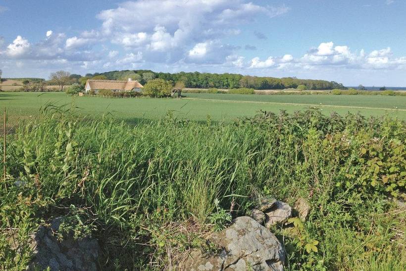 Foto von Ferienhaus ST31 auf Bøsseløkke - Langeland
