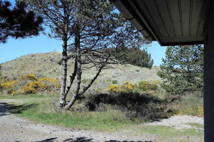 Foto von Ferienhaus ST57 in Blåvand - Westjütland