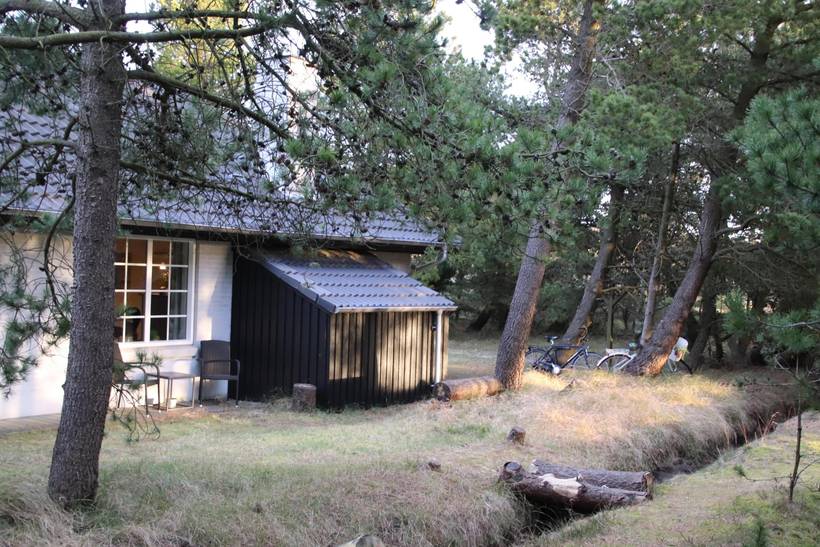 Foto von Ferienhaus ST57 in Blåvand - Westjütland