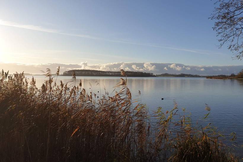 Foto von Ferienhaus ST64 auf Maribo - Lolland