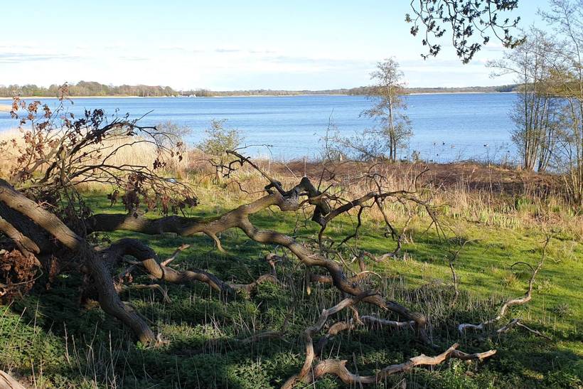 Foto von Ferienhaus ST64 auf Maribo - Lolland