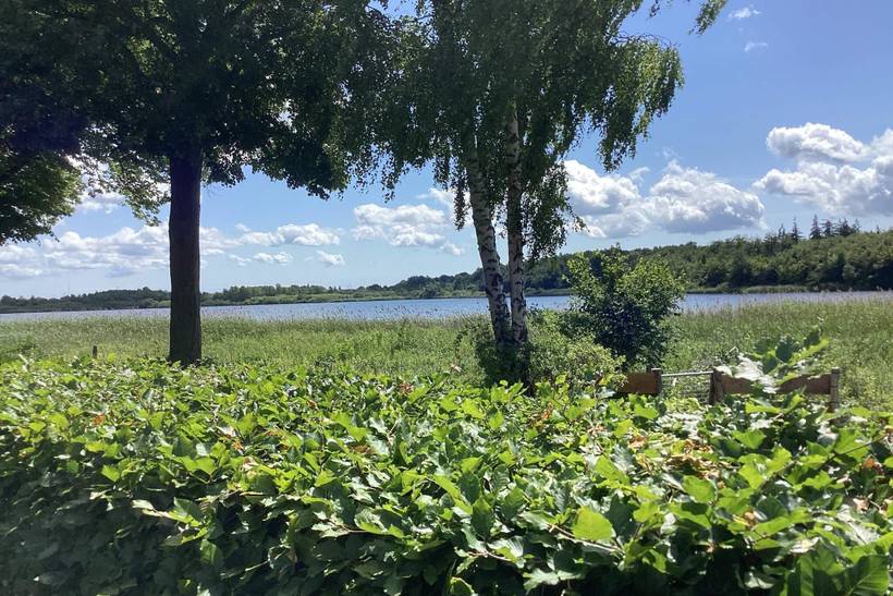Foto von Ferienhaus ST64 auf Maribo - Lolland