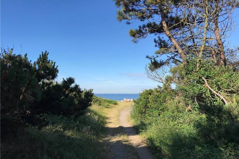 Foto von Ferienhaus ST78 in Sjællands Odde - Westseeland