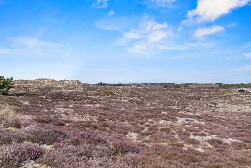 Foto von Ferienhaus ST84 in Sønderho - Fanø