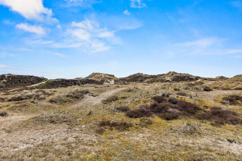 Foto von Ferienhaus ST84 in Sønderho - Fanø
