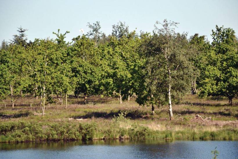 Foto von Ferienhaus ST98 in Ertebølle - Thy/Limfjord