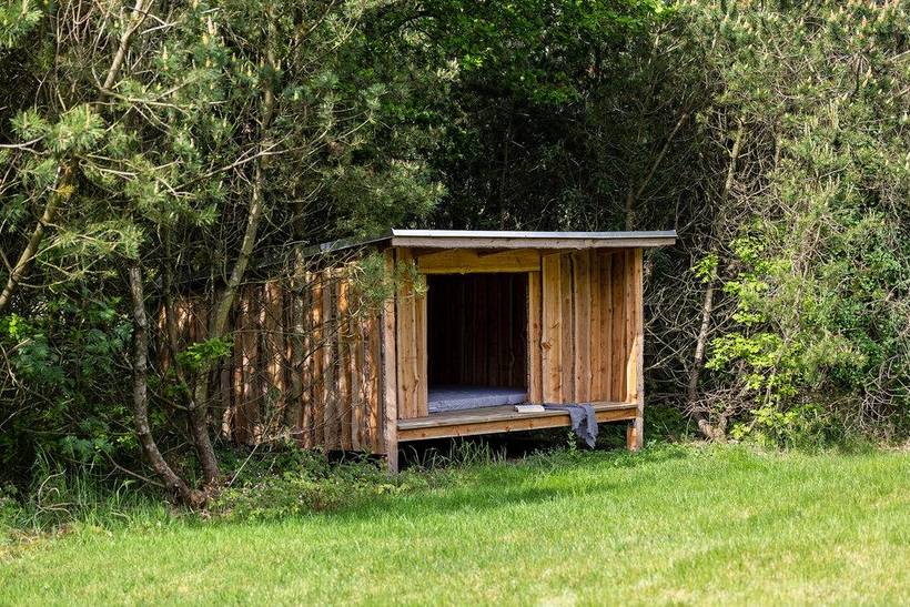 Foto von Ferienhaus ST98 in Ertebølle - Thy/Limfjord
