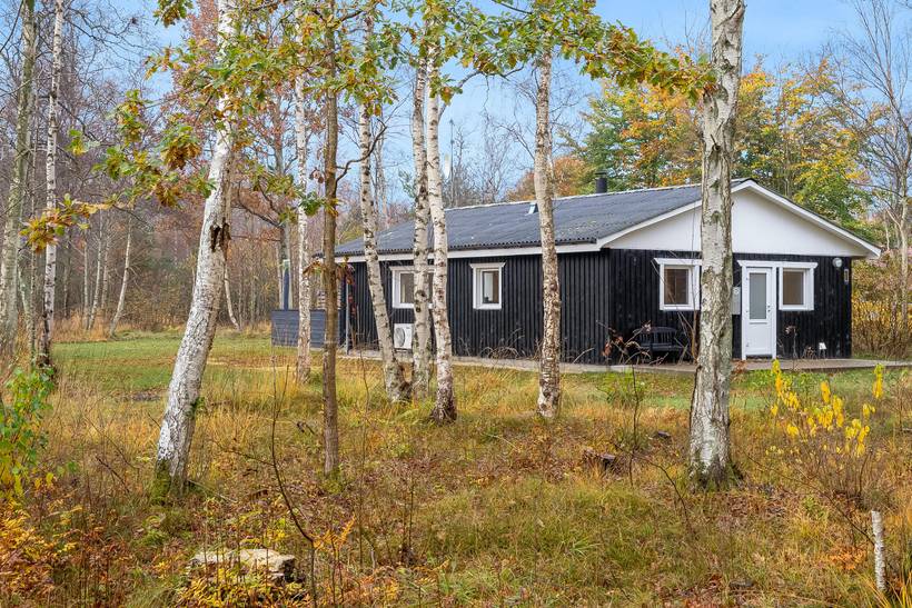 Foto von Ferienhaus SU04 in Nordmarken - Læsø