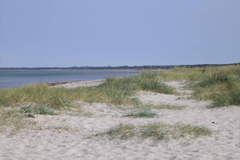 Foto von Ferienhaus SU29 in Sejerø Bugt - Westseeland