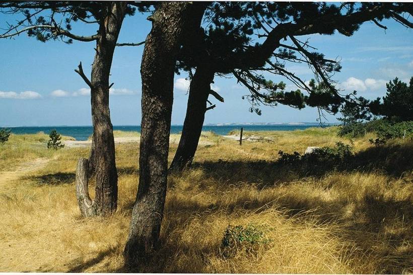 Foto von Ferienhaus SU29 in Sejerø Bugt - Westseeland