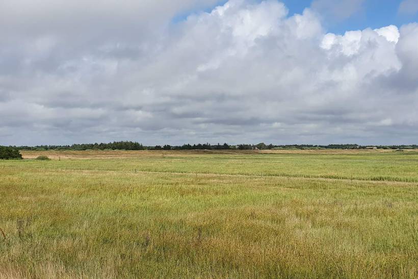 Foto von Ferienhaus SU44 in Blåvand - Westjütland
