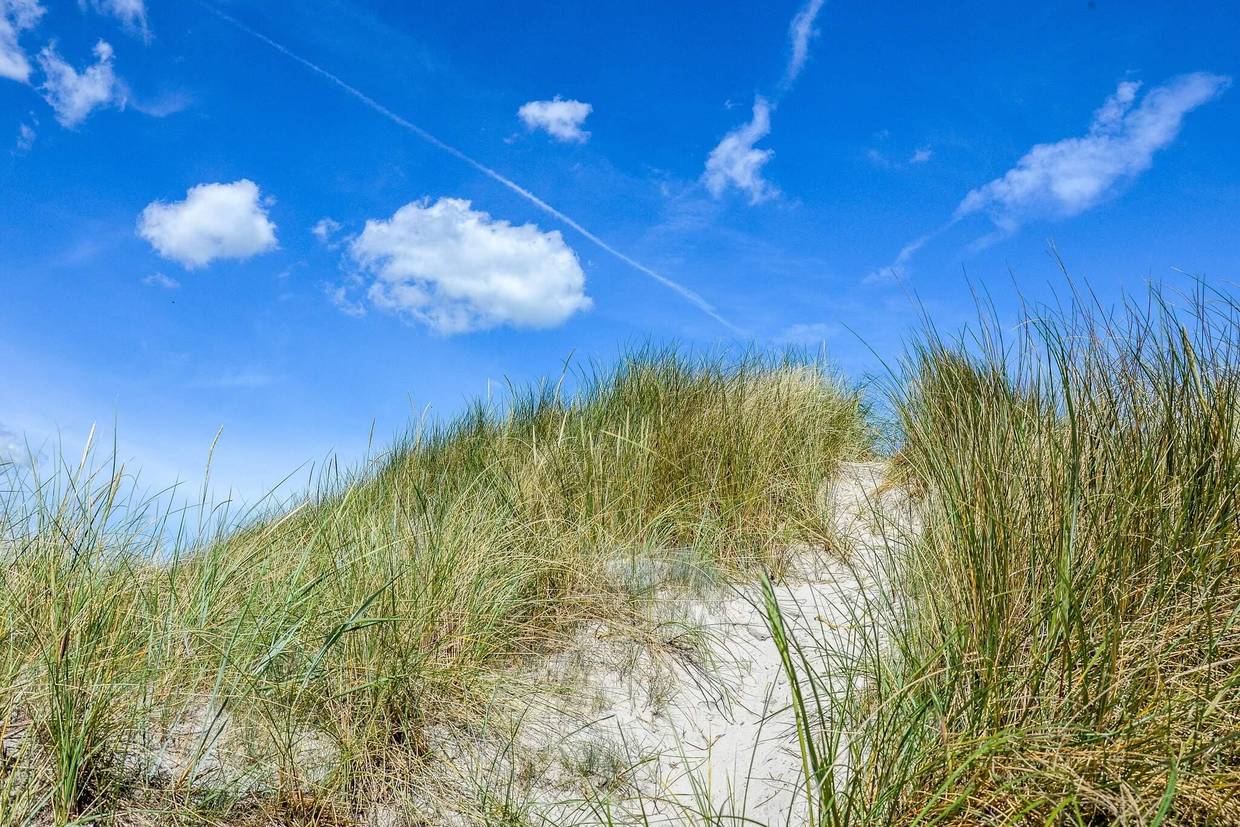 Foto von Ferienhaus SU51 in Napstjært - Ålbæk - Nordjütland Ost
