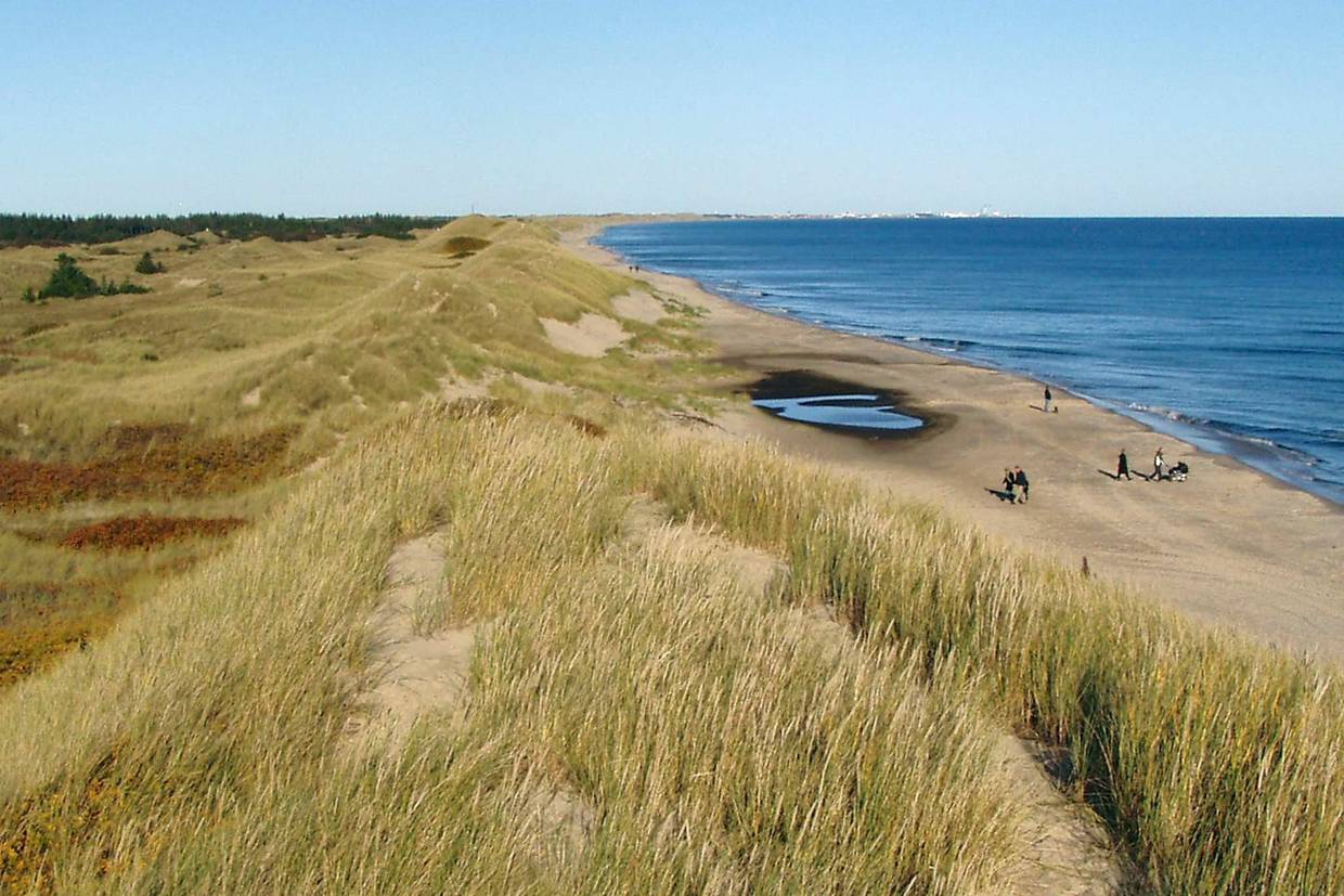 Foto von Ferienhaus SU51 in Napstjært - Ålbæk - Nordjütland Ost