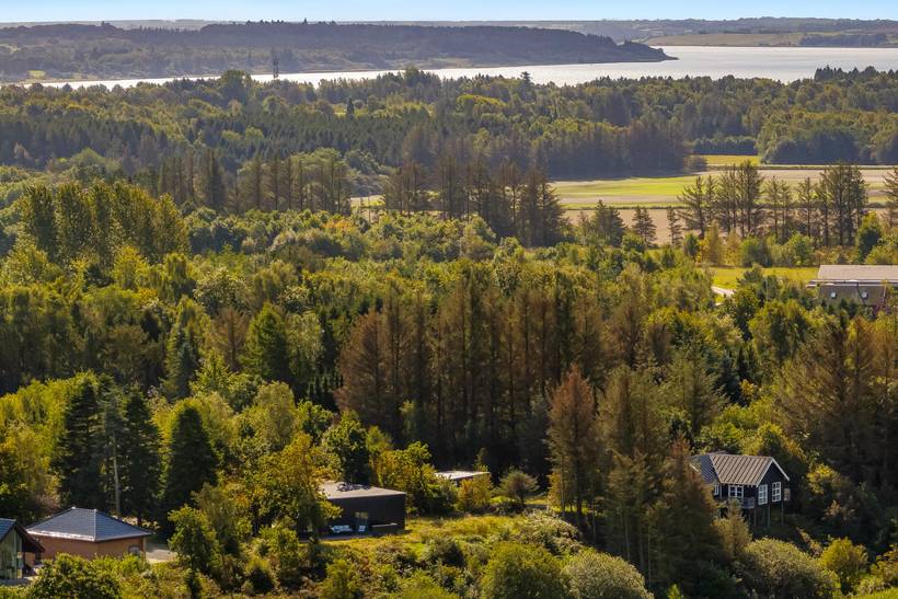 Foto von Ferienhaus SV17 in Virksund - Thy/Limfjord