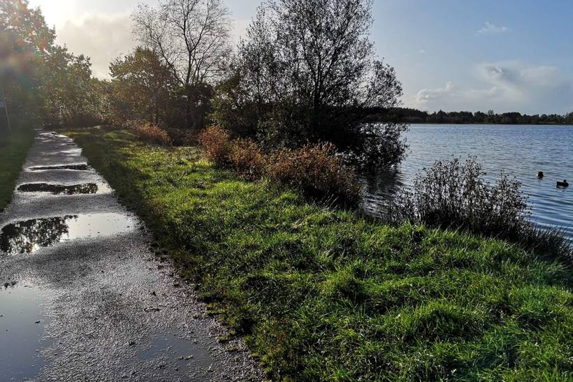 Foto von Ferienhaus SV32 in Kvie Sø - Westjütland