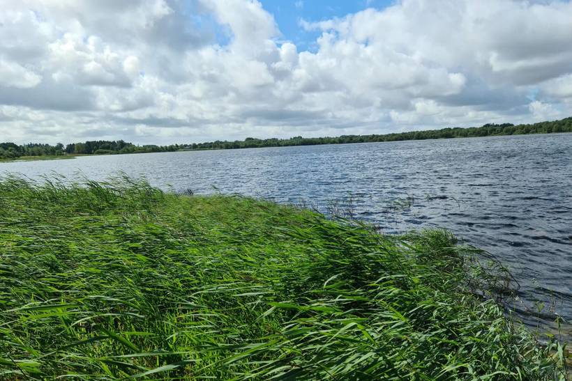 Foto von Ferienhaus SV32 in Kvie Sø - Westjütland