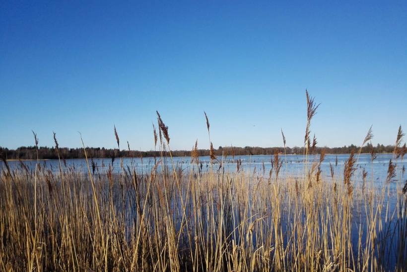 Foto von Ferienhaus SV32 in Kvie Sø - Westjütland