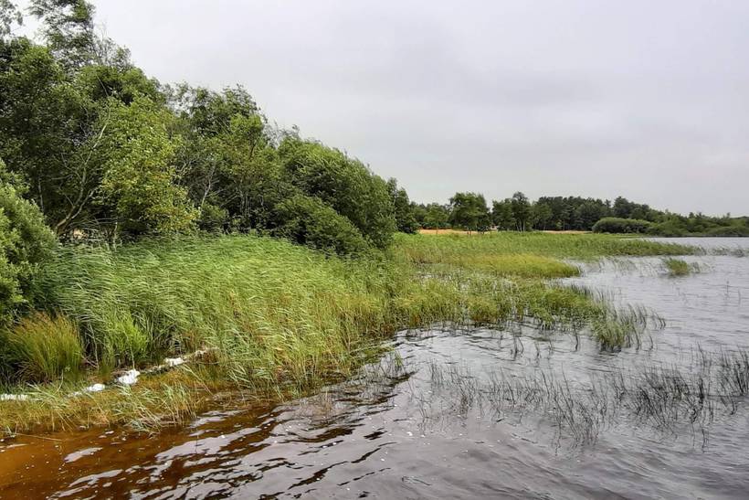 Foto von Ferienhaus SV32 in Kvie Sø - Westjütland