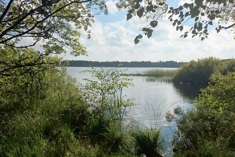 Foto von Ferienhaus SV32 in Kvie Sø - Westjütland