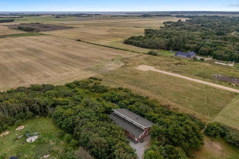 Foto von Ferienhaus SV43 in Lodbjerg Hede - Søndervig - Westjütland