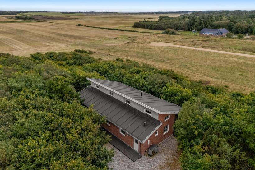Foto von Ferienhaus SV43 in Lodbjerg Hede - Søndervig - Westjütland