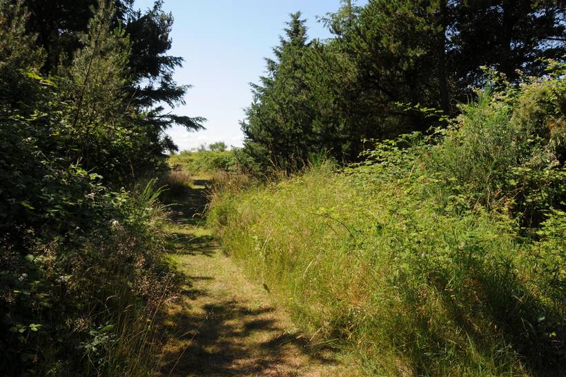 Foto von Ferienhaus SV56 in Kegnæs - Als