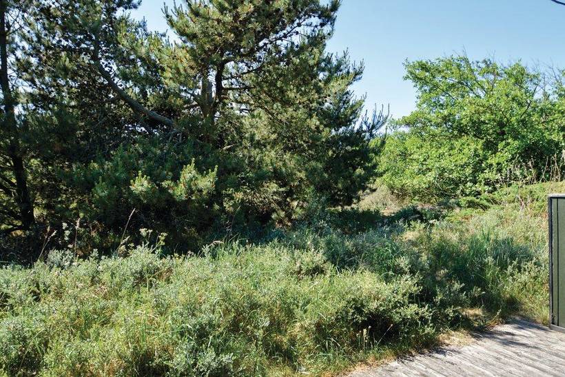 Foto von Ferienhaus SV73 in Slettestrand - Nordjütland