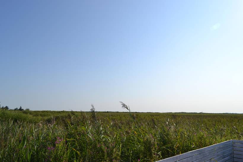 Foto von Ferienhaus SW02 in Lakolk - Rømø